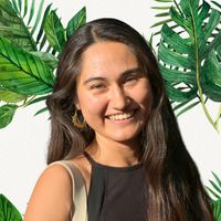 ellebosseuse profile picture